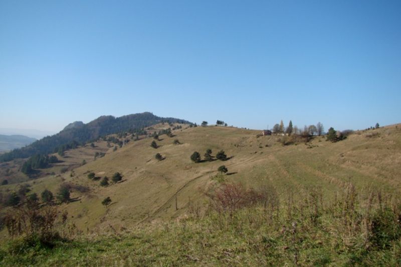 Haligowskie Skały - Pieniny